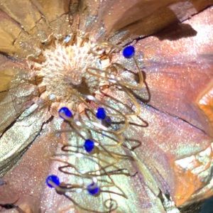 Unique Stainless steel golden ring